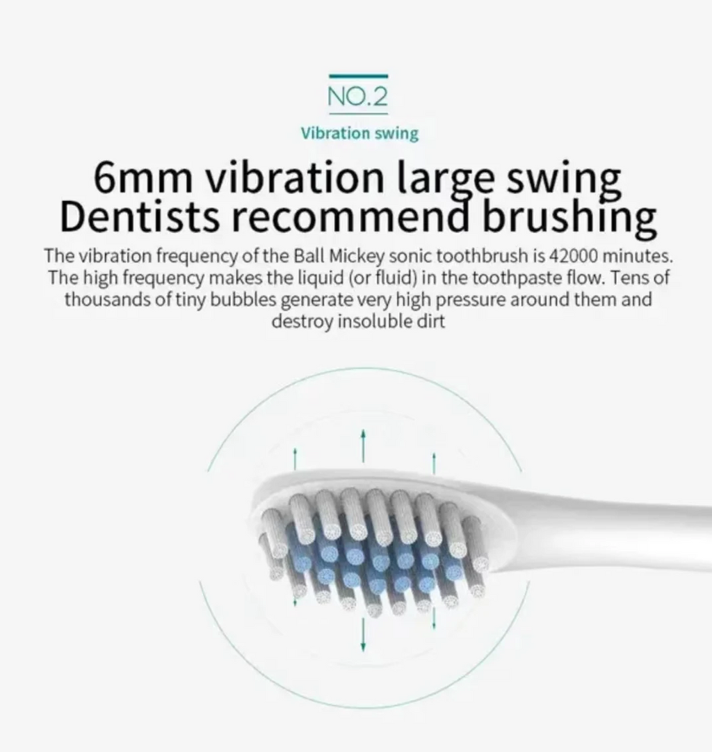 Sonic Electric Toothbrush, USB Rechargeable with 4 Brush Heads & 6 Modes | IPX7 Waterproof for Adults and Kids