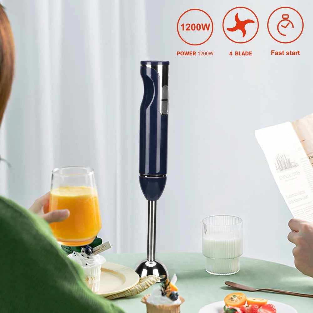 Raf Electric Hand Blender Crush Ice 800W R311