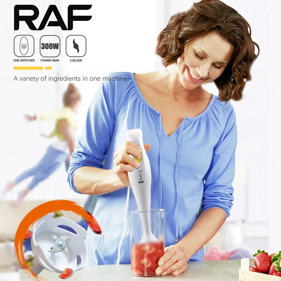 Raf Hand Blender 300W R255 R266